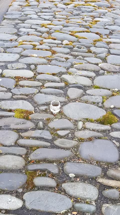 Roading/Streets, a report photo