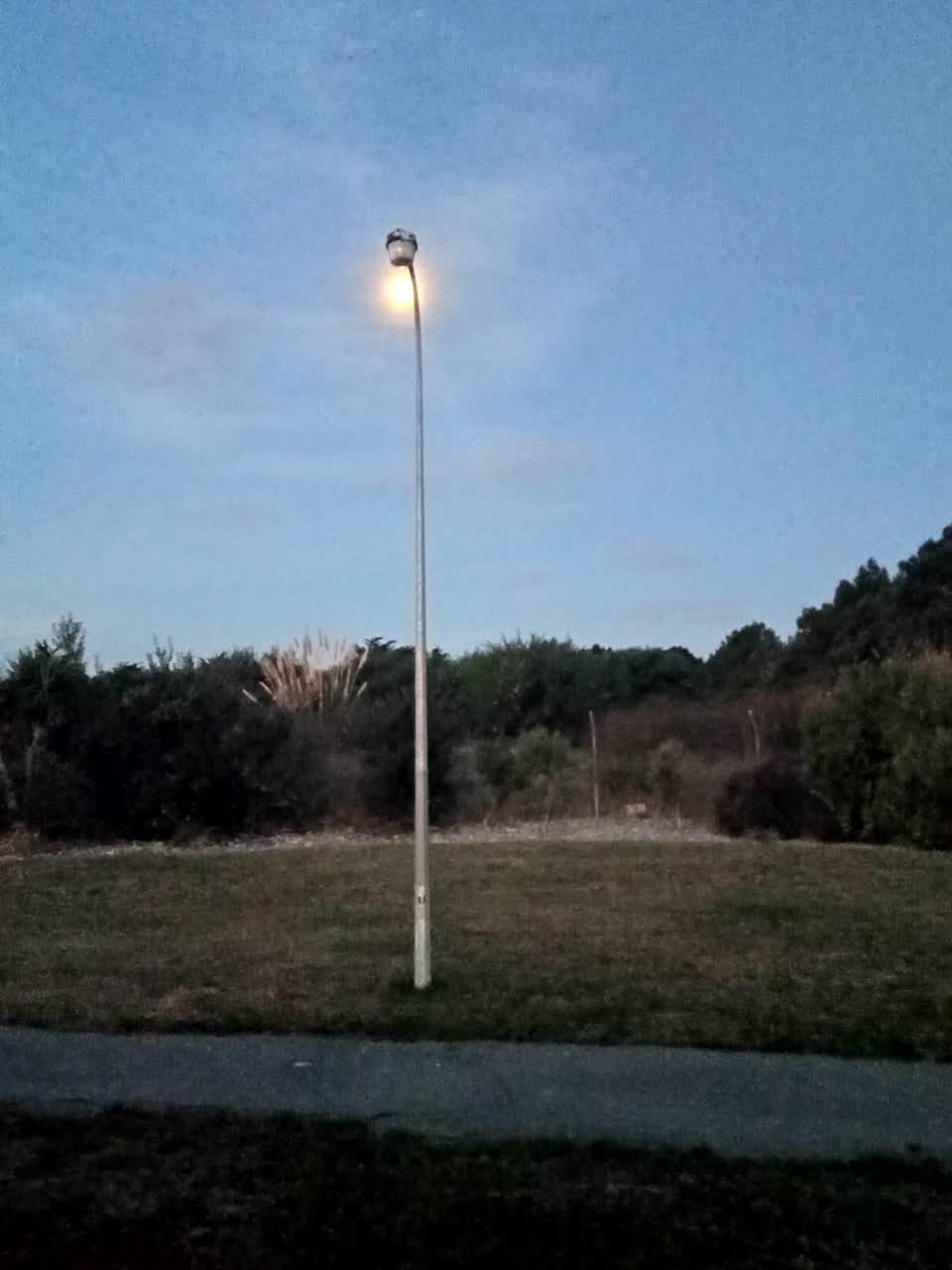 The photograph attached to this street light outage report