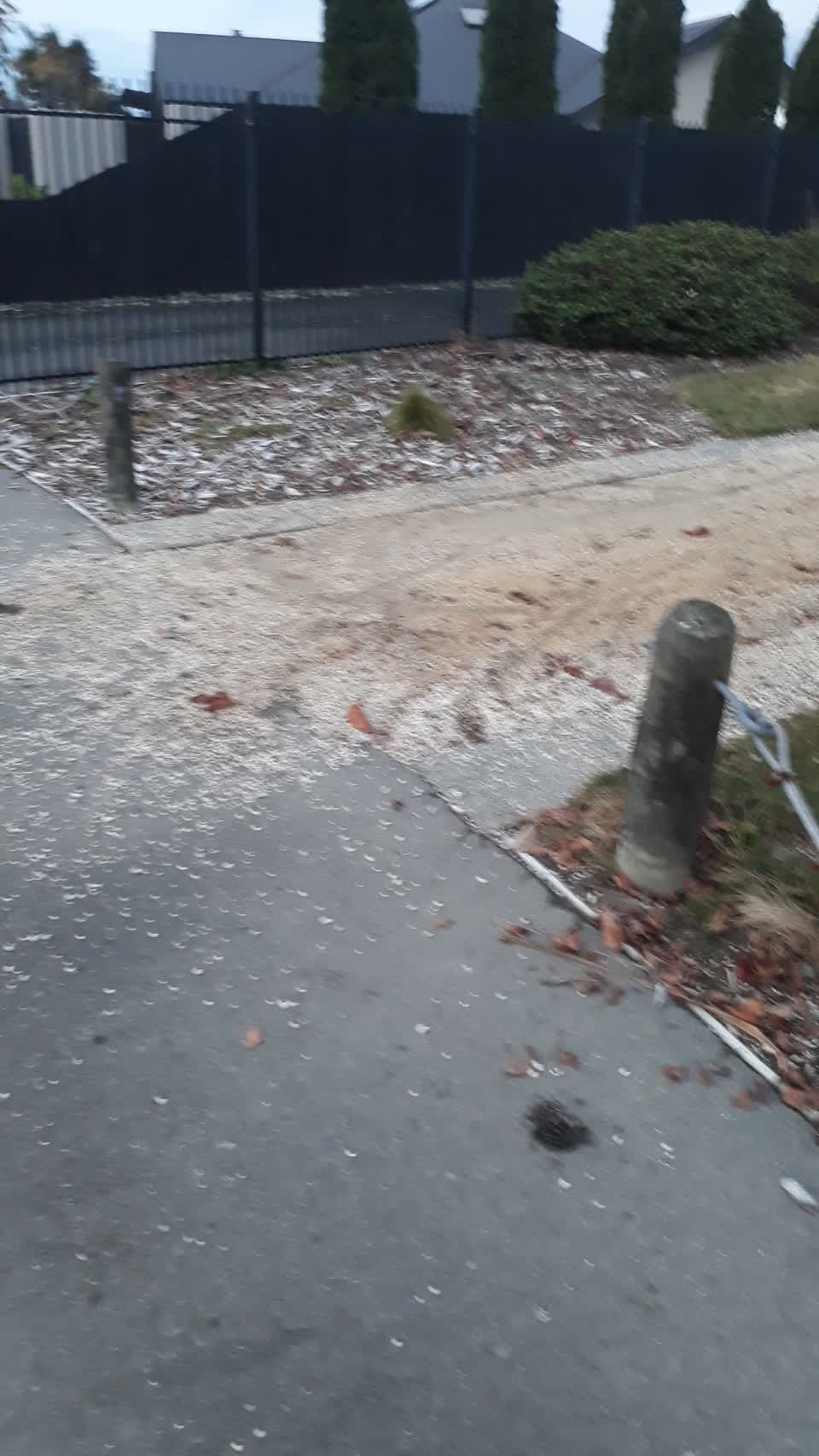 The photograph attached to this parks report