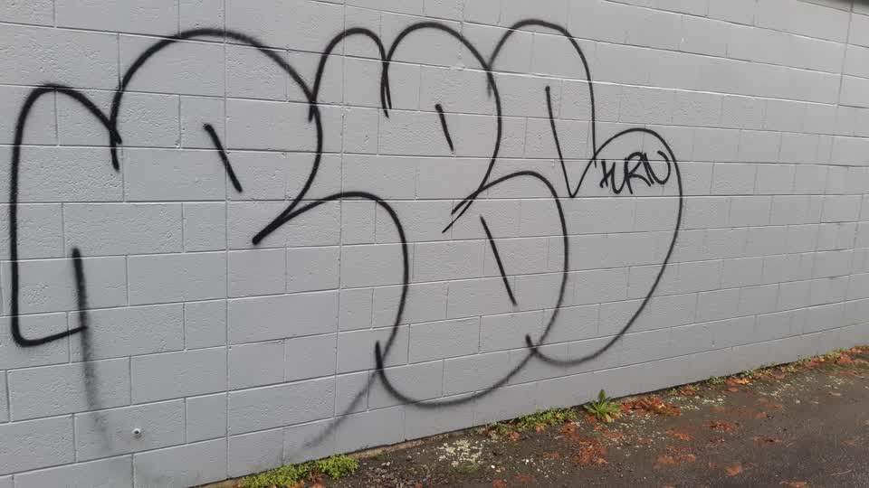 The photograph attached to this graffiti report