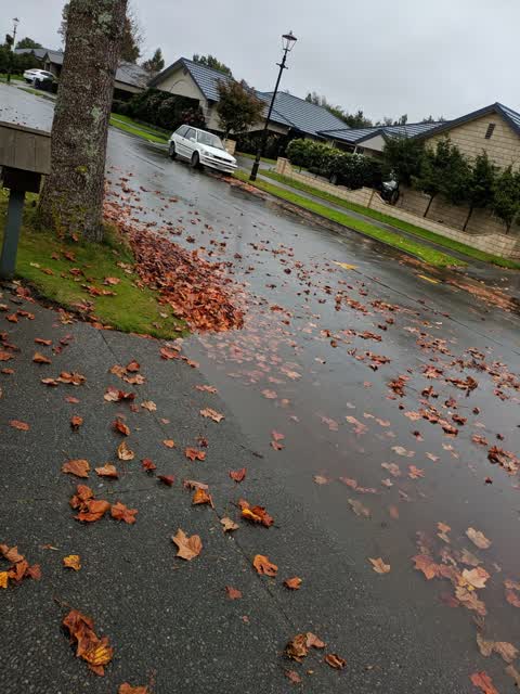 Wastewater/Stormwater, a report photo
