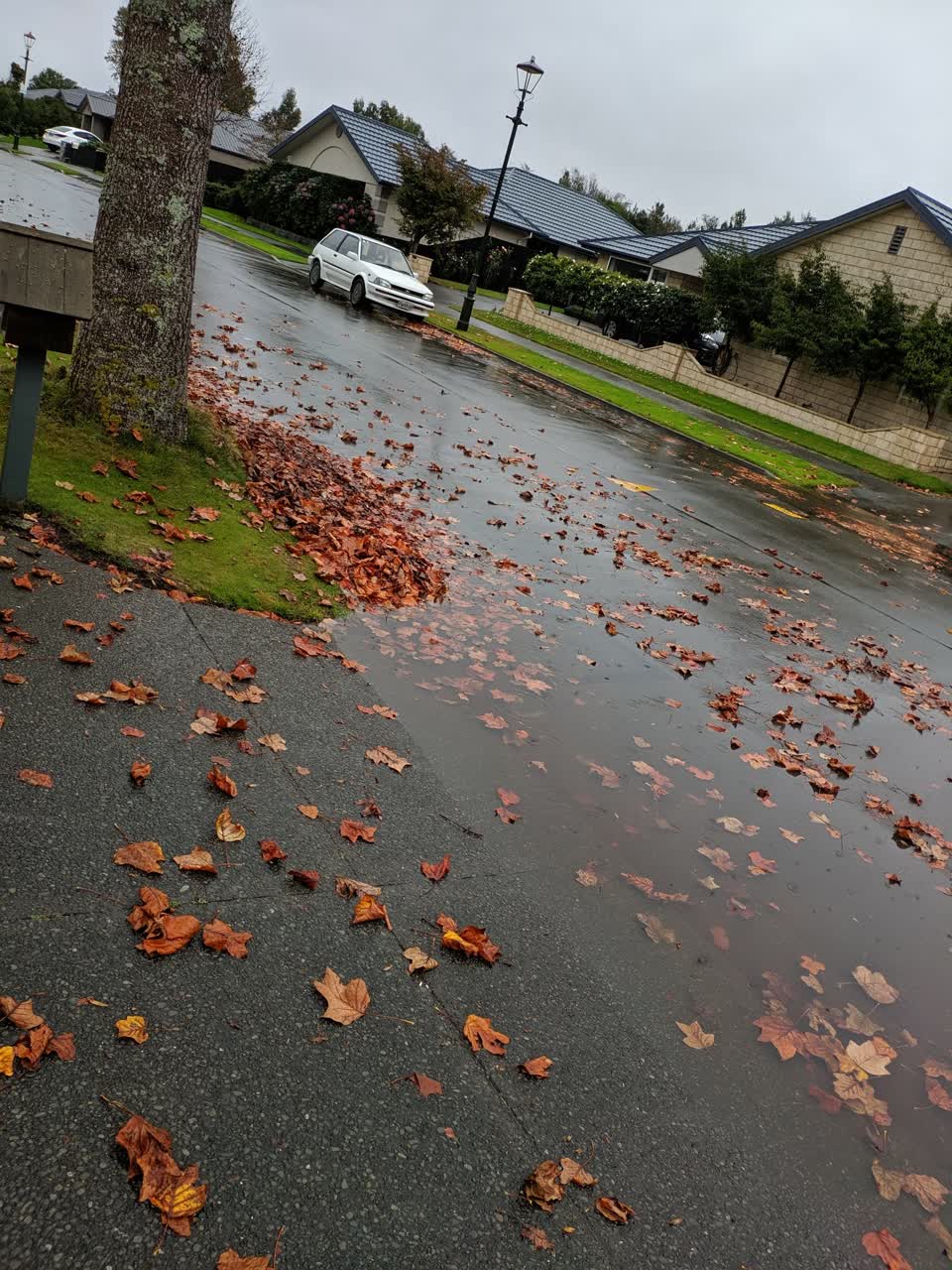 The photograph attached to this wastewater/stormwater report