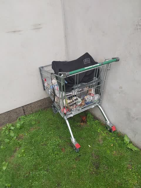 Rubbish/Recycling — a report photo