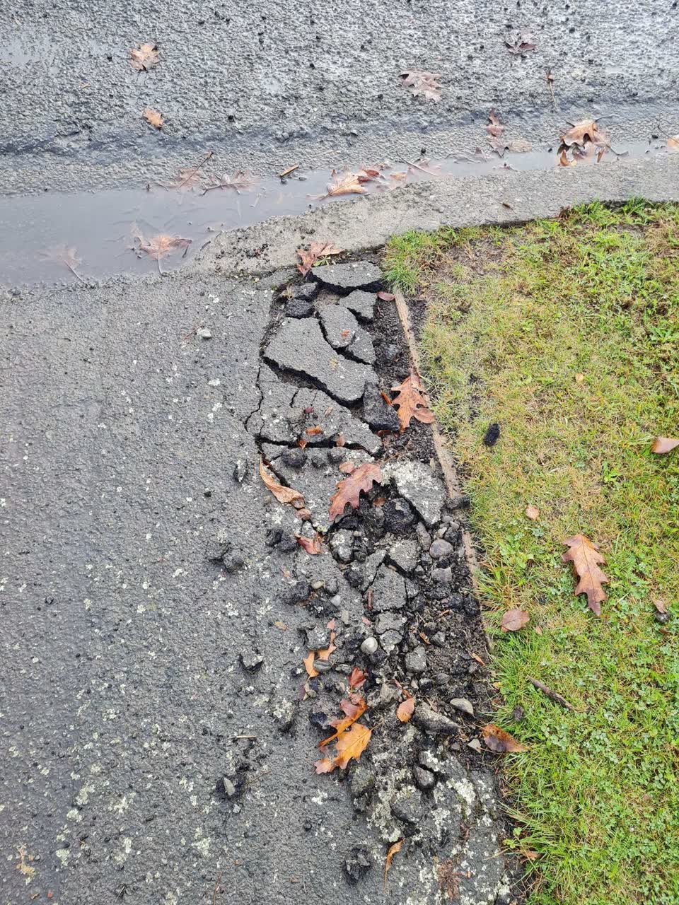The photograph attached to this roading/streets report