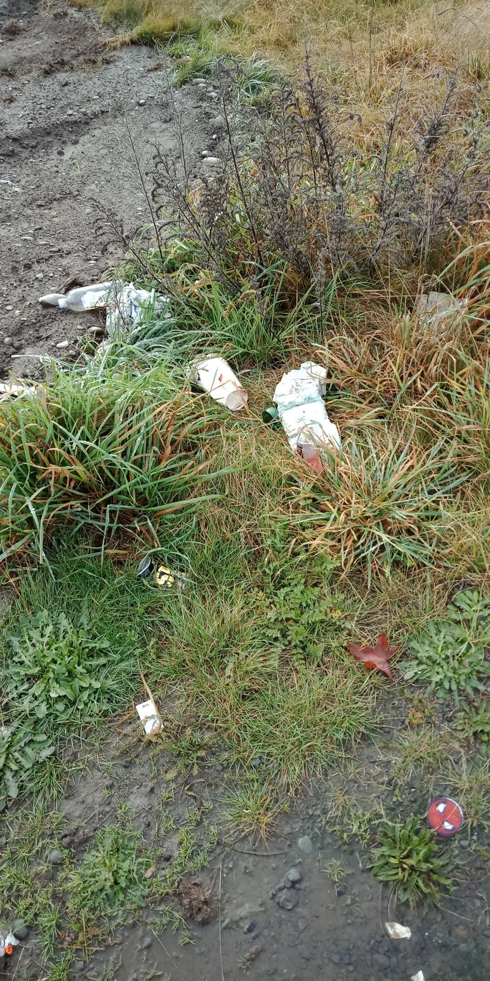 The photograph attached to this rubbish/recycling report