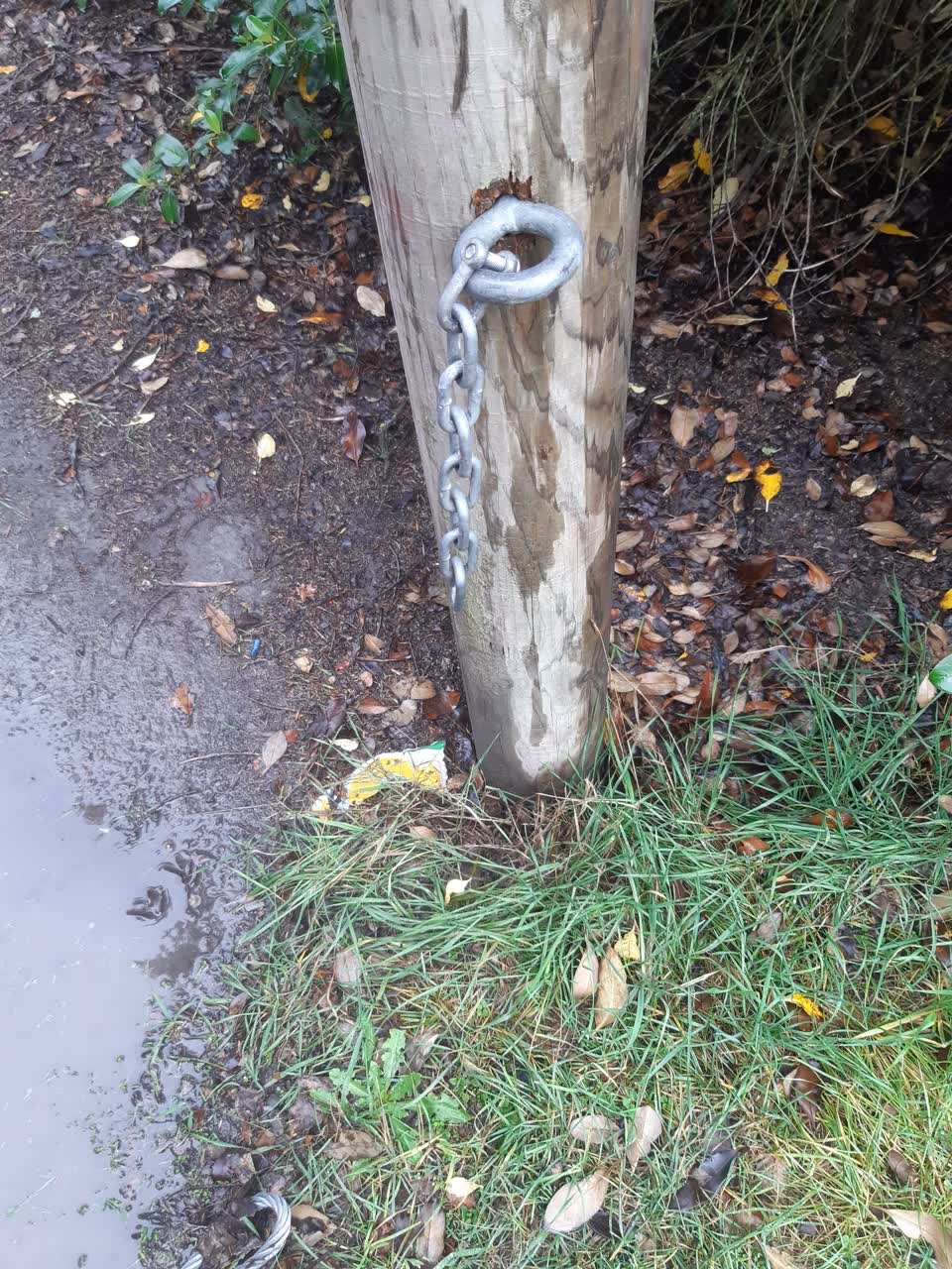 The photograph attached to this parks report