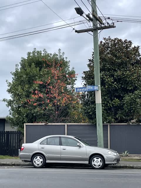 Roading/Streets, a report photo