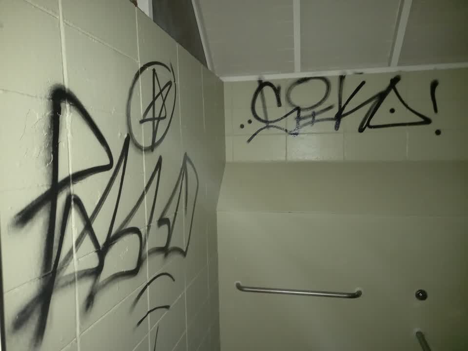The photograph attached to this graffiti report