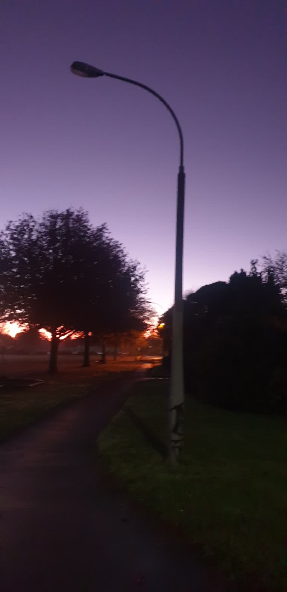 The photograph attached to this street light outage report