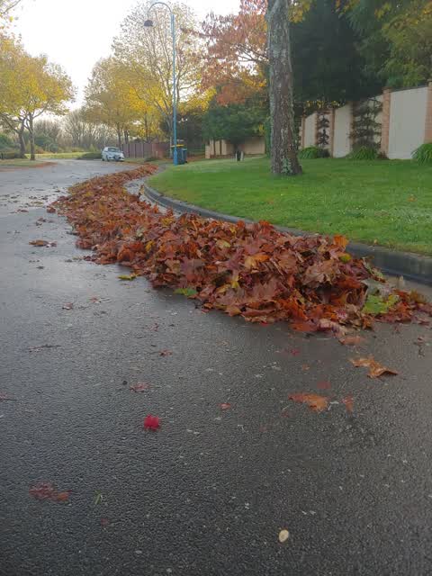 Wastewater/Stormwater, a report photo