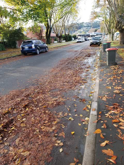 Roading/Streets, a report photo