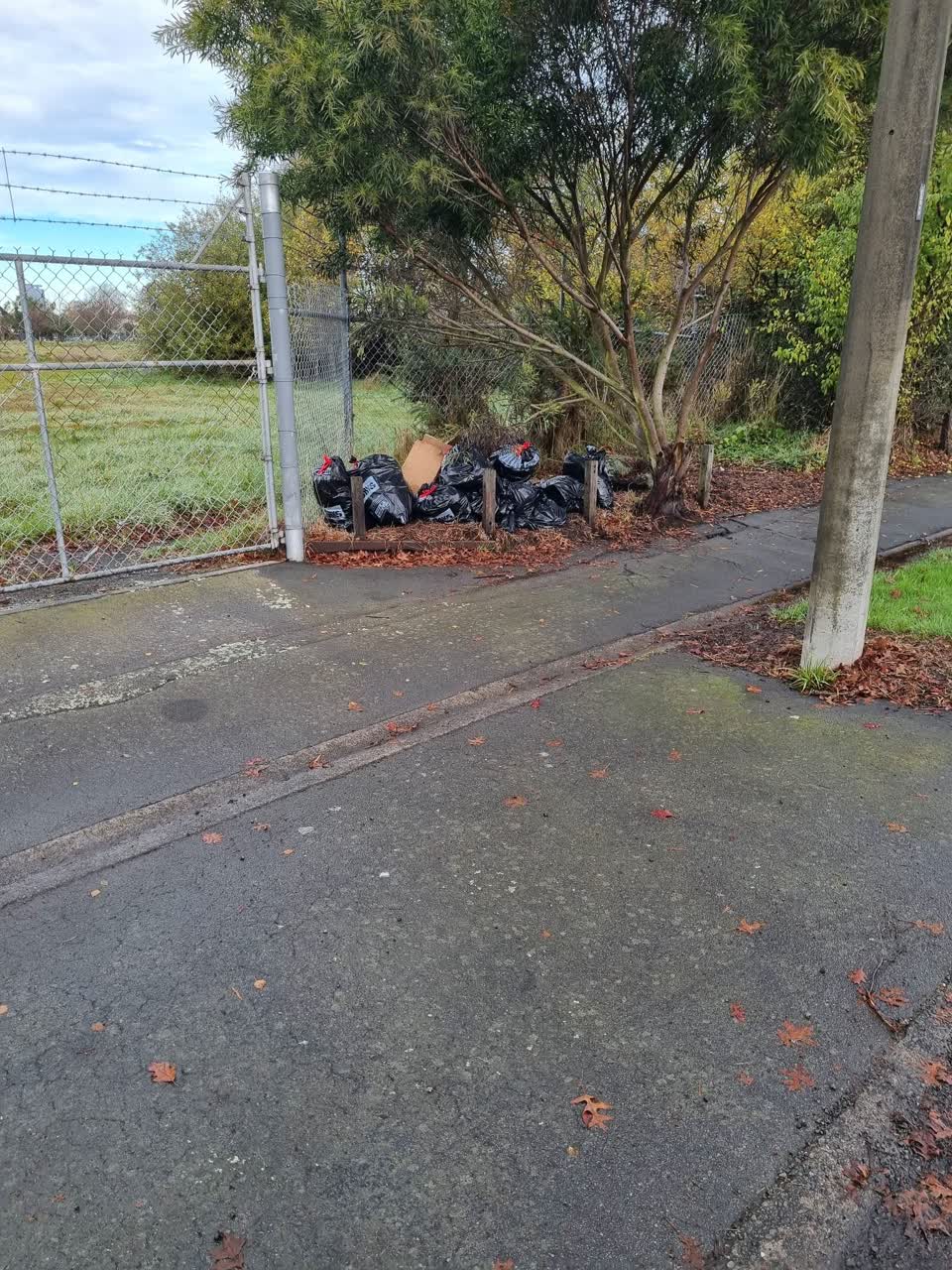 The photograph attached to this rubbish/recycling report