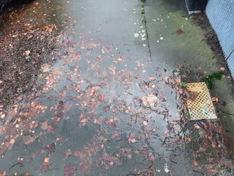 Water Leak, a report photo