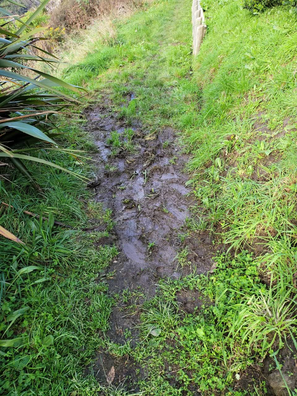 The photograph attached to this parks report