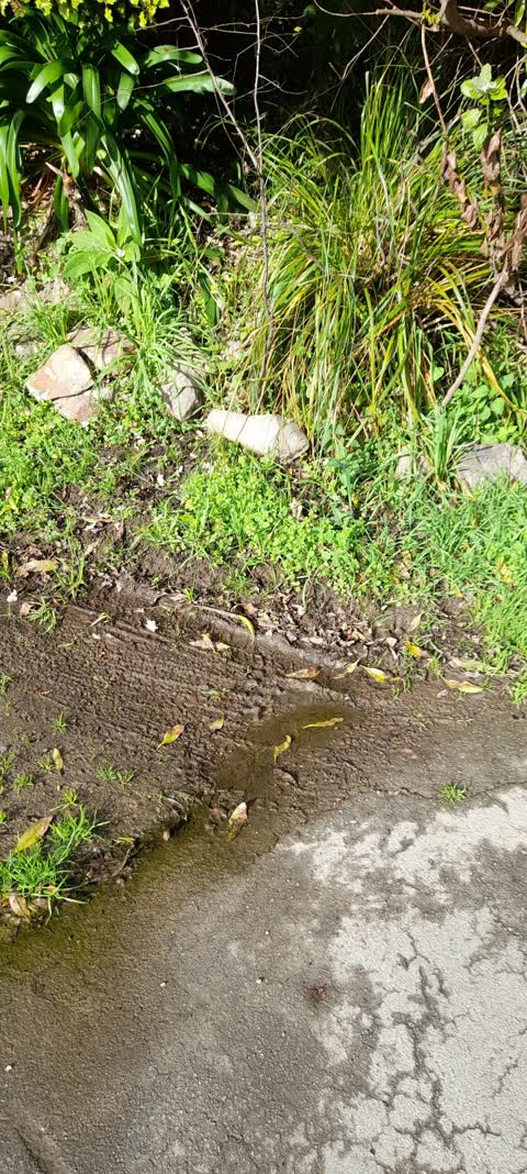 Water Leak, a report photo