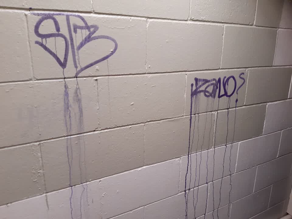 The photograph attached to this graffiti report