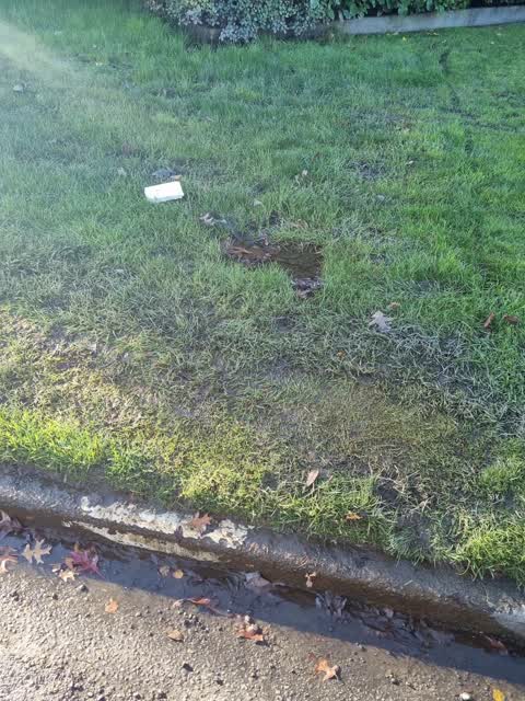 Wastewater/Stormwater, a report photo