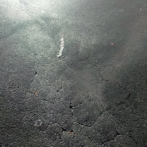 Water Leak, a report photo