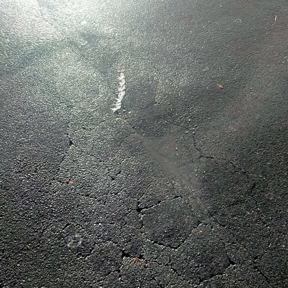 The photograph attached to this water leak report