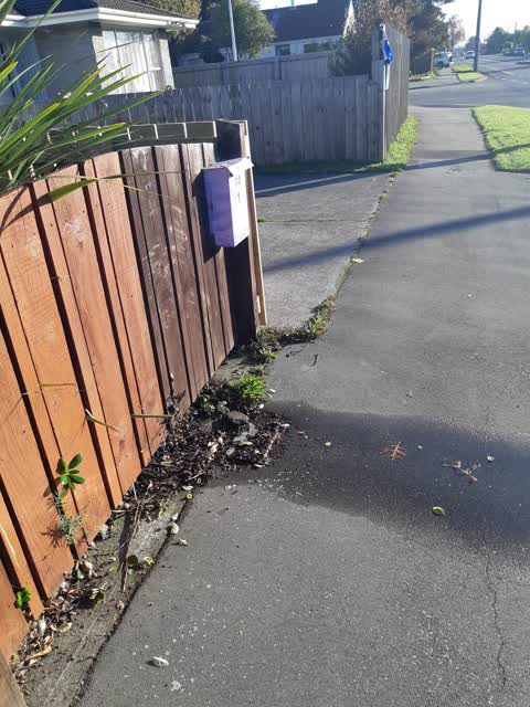 Water Leak, a report photo