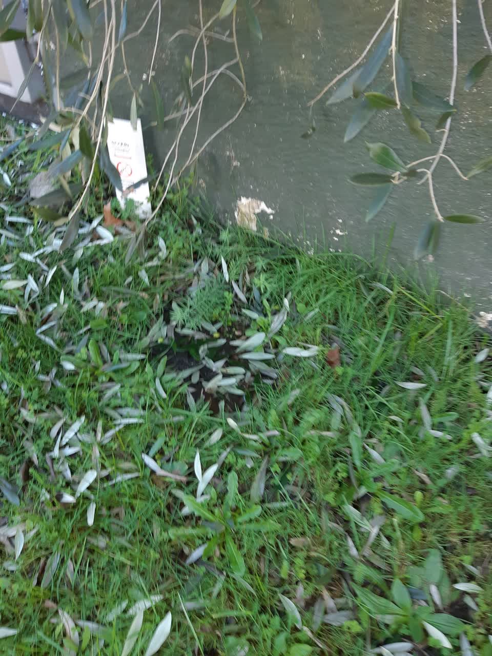 The photograph attached to this water leak report