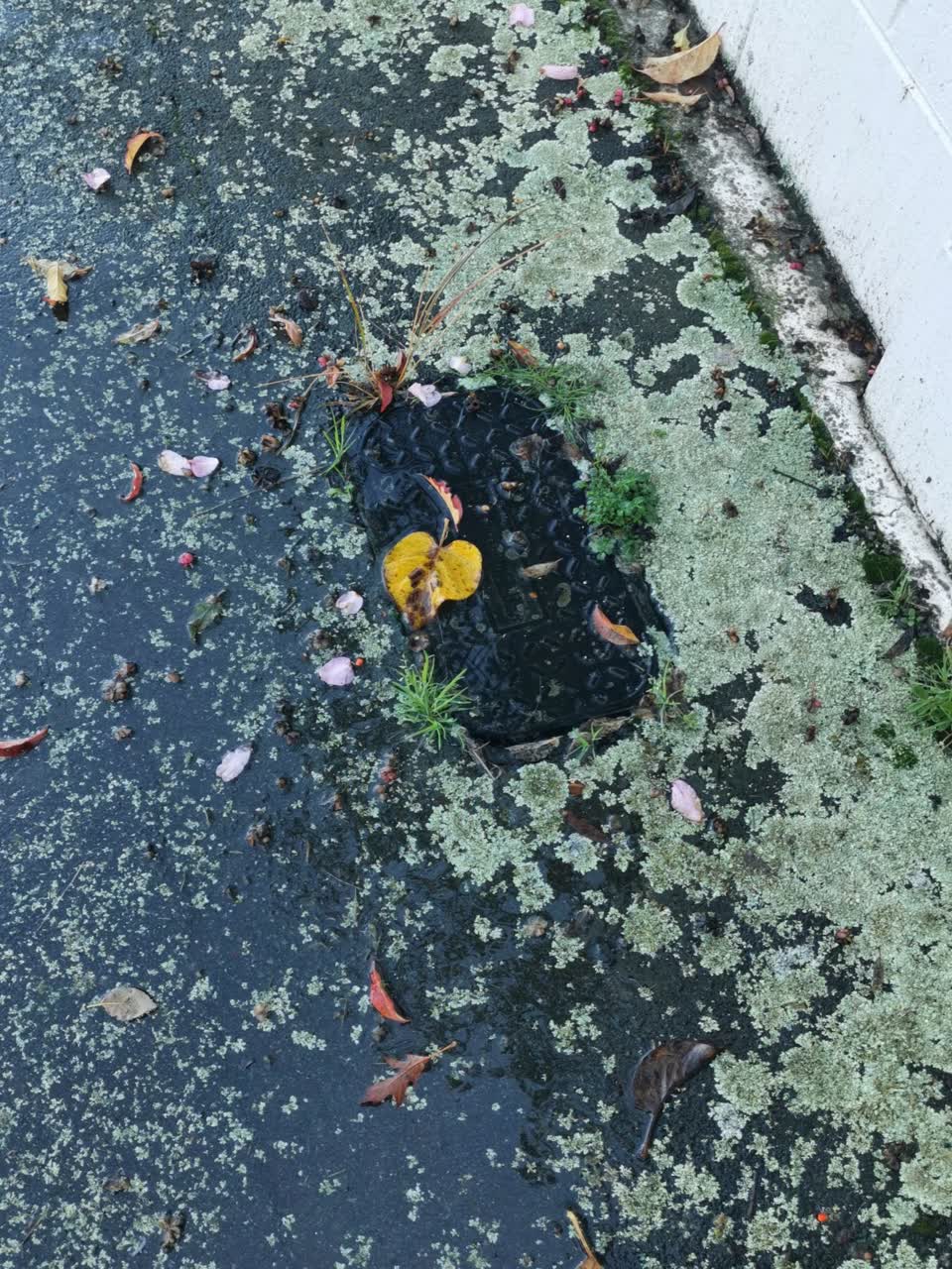 The photograph attached to this water leak report