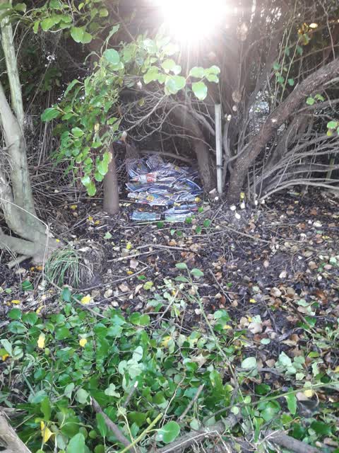 Rubbish/Recycling, a report photo