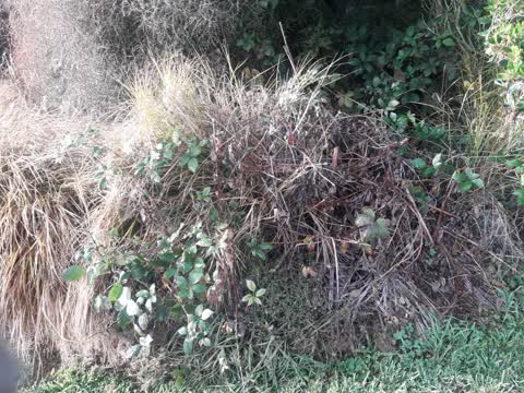 Parks, a report photo