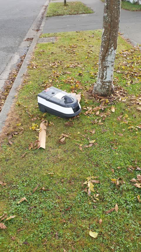 Rubbish/Recycling, a report photo