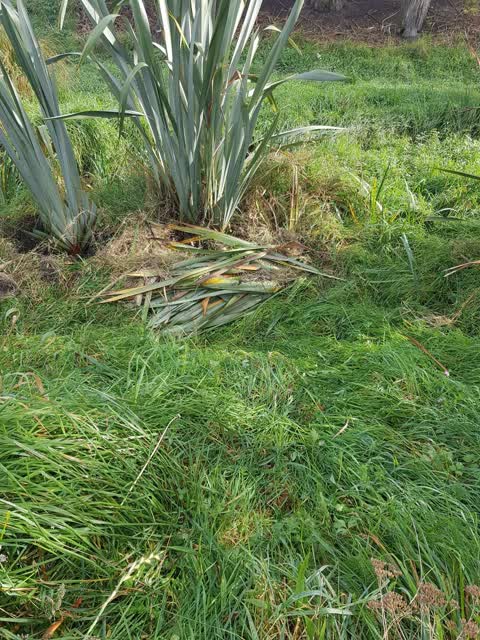 Rubbish/Recycling — a report photo