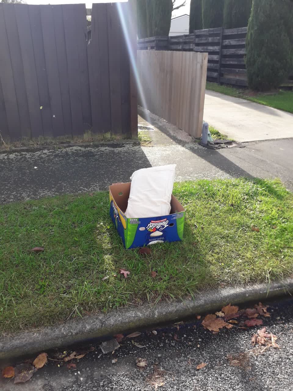 The photograph attached to this rubbish/recycling report