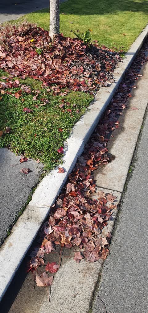 Roading/Streets, a report photo
