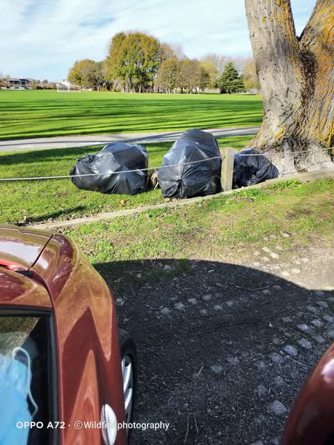 Rubbish/Recycling, a report photo