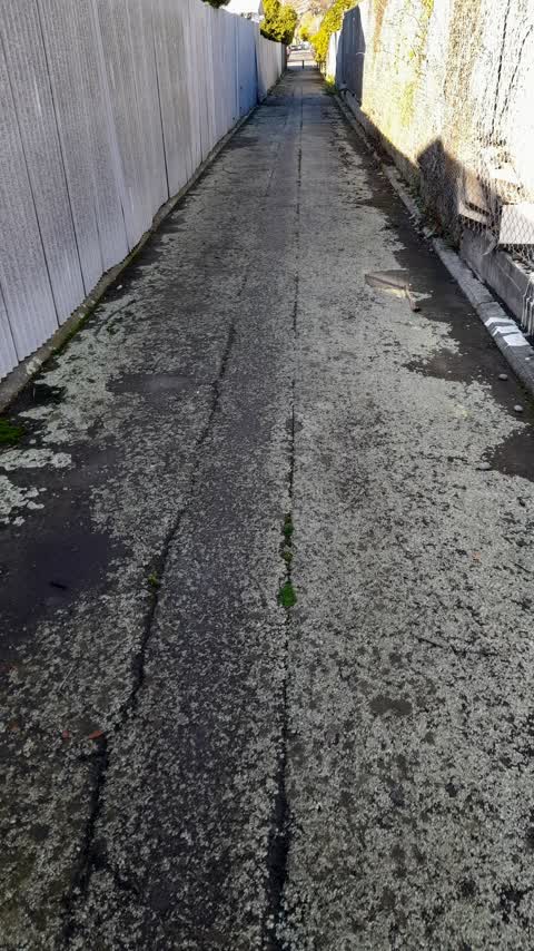 Roading/Streets, a report photo
