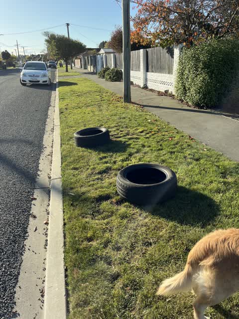 Rubbish/Recycling, a report photo