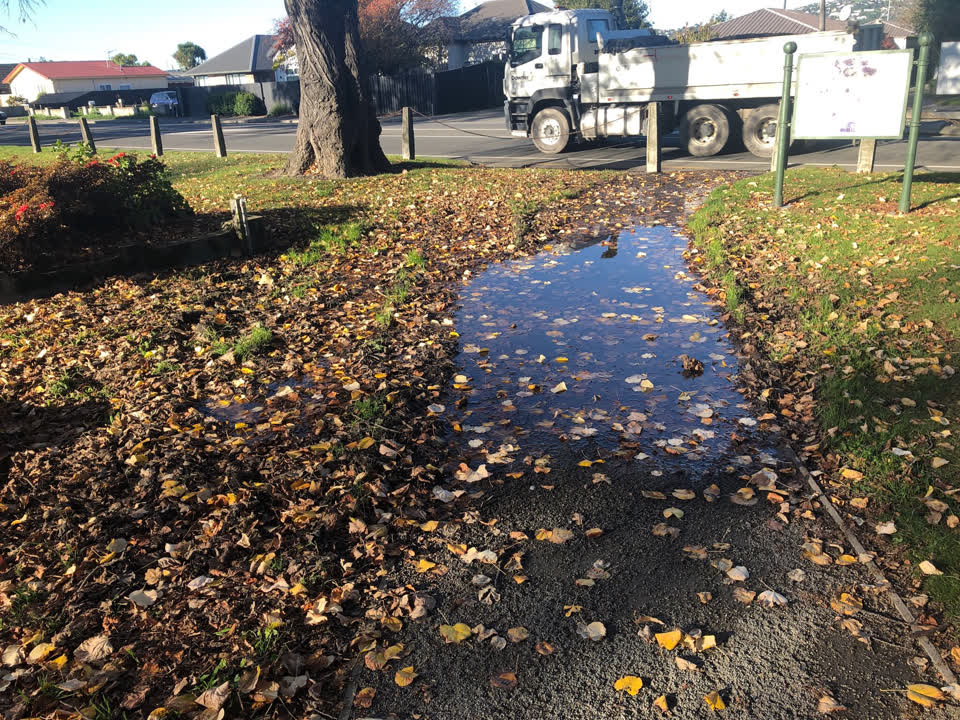 The photograph attached to this parks report