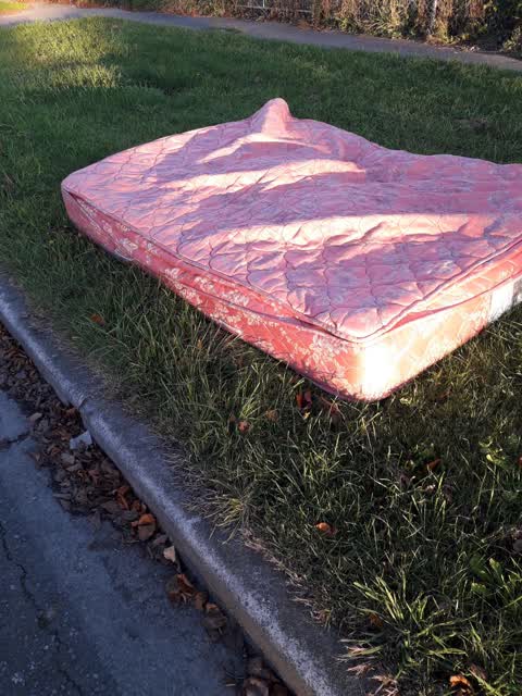 Rubbish/Recycling, a report photo