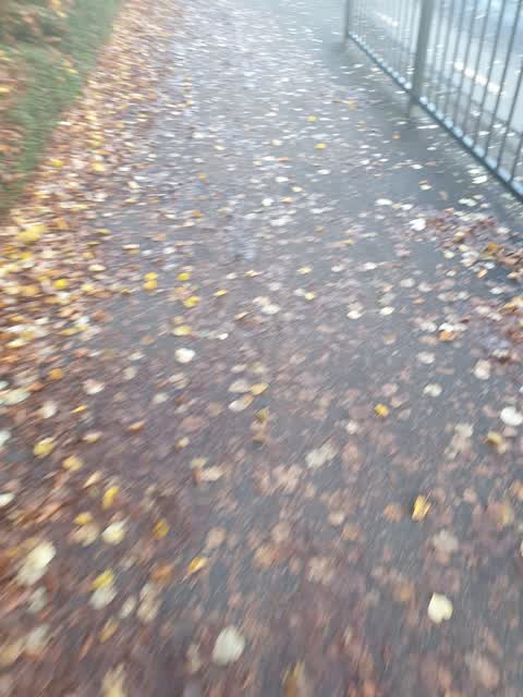 Roading/Streets, a report photo