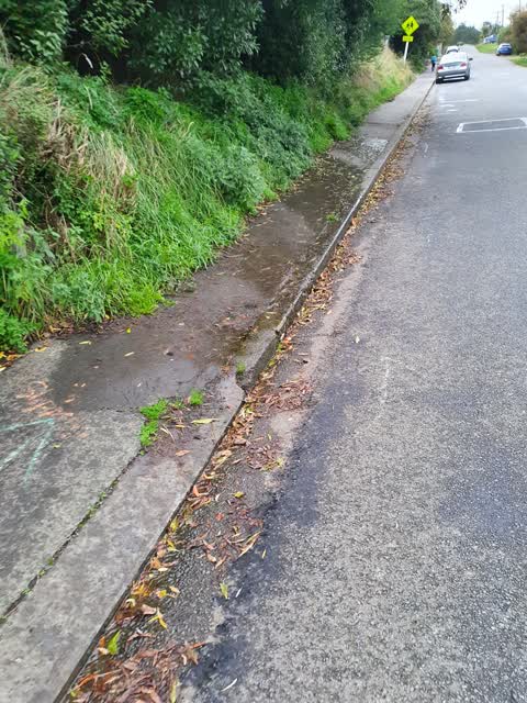Roading/Streets, a report photo