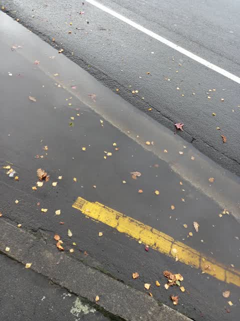 Flooding, a report photo