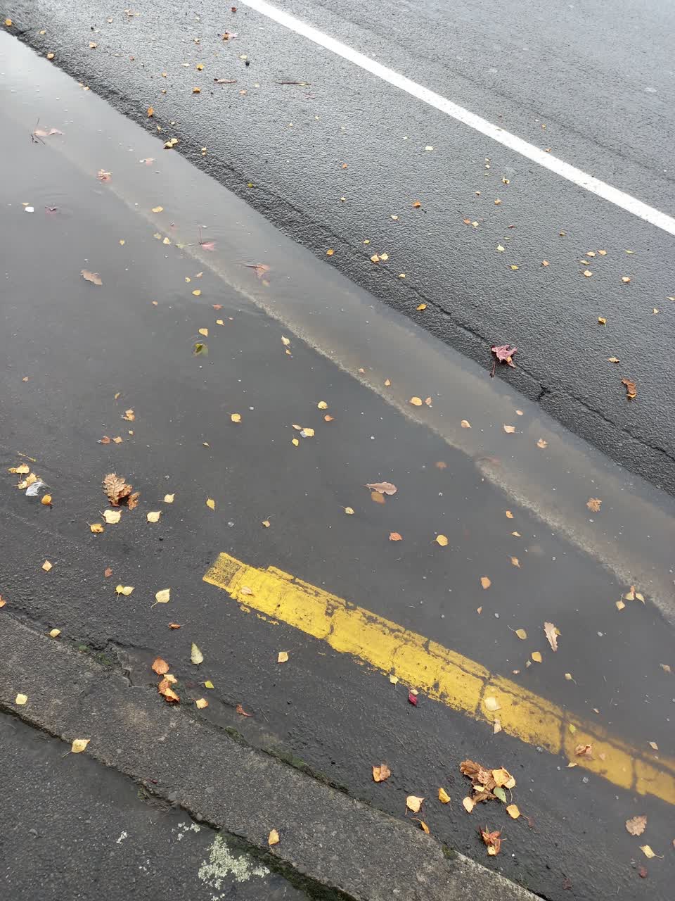 The photograph attached to this flooding report