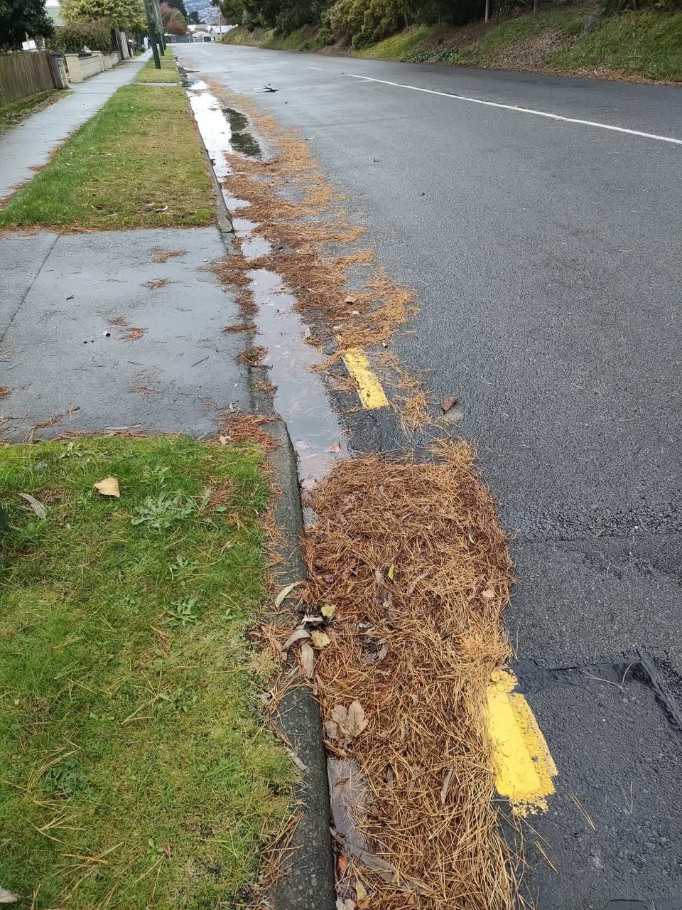 The photograph attached to this roading/streets report