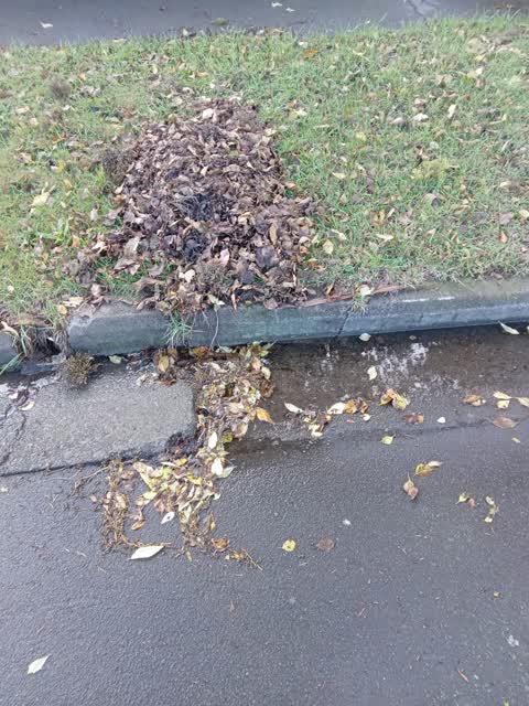 Wastewater/Stormwater, a report photo