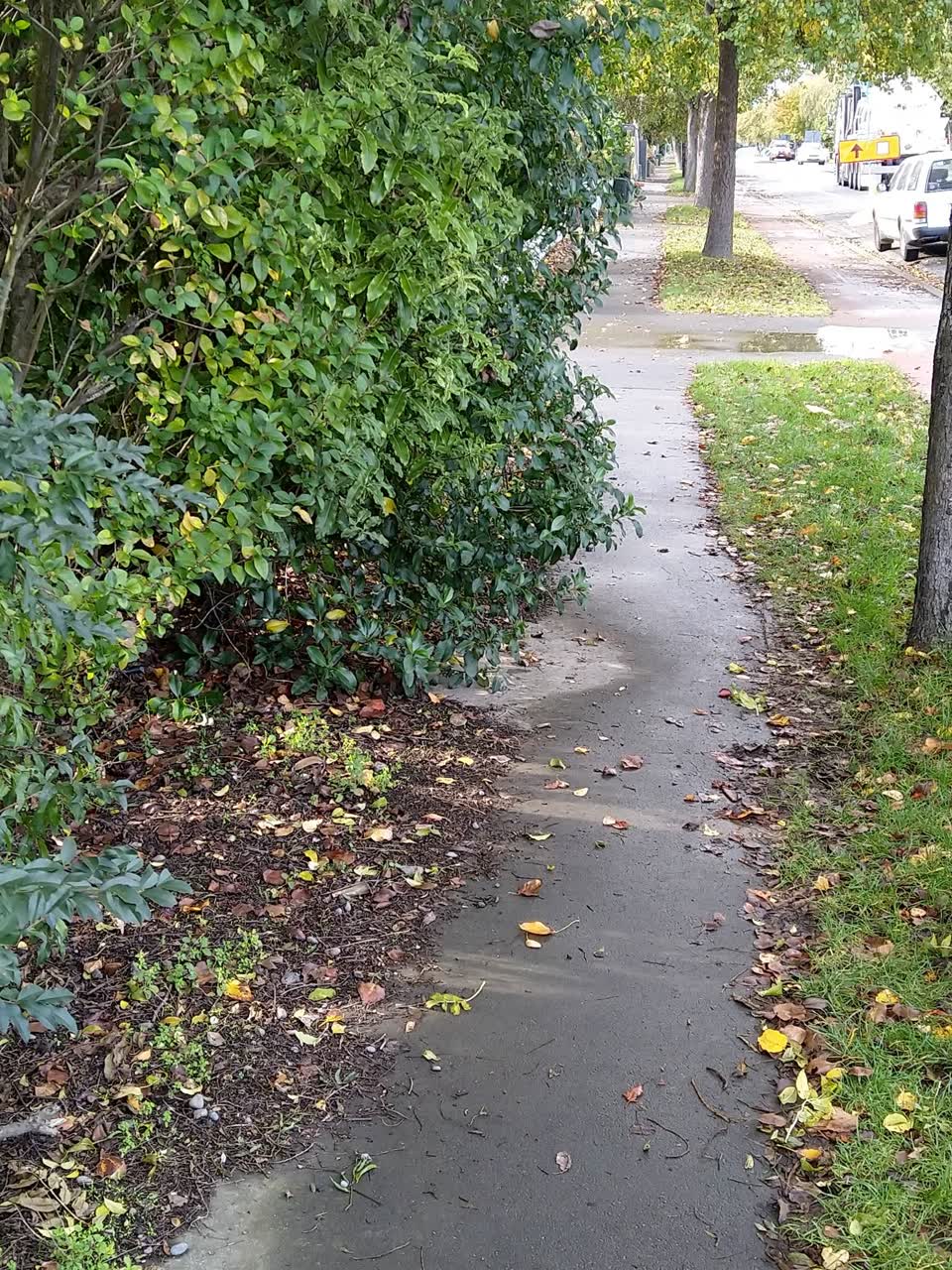The photograph attached to this roading/streets report