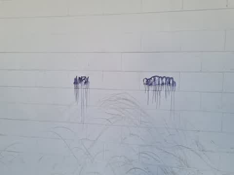 Graffiti, a report photo