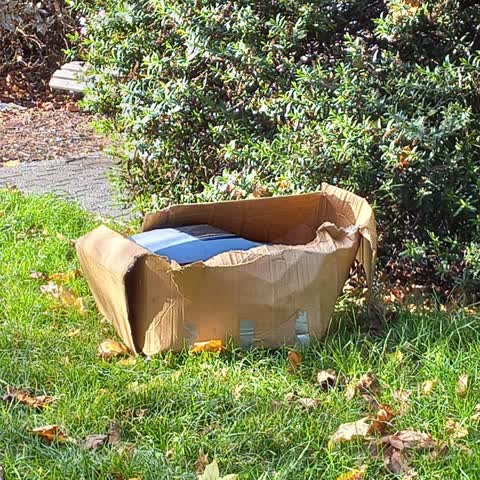 Rubbish/Recycling, a report photo