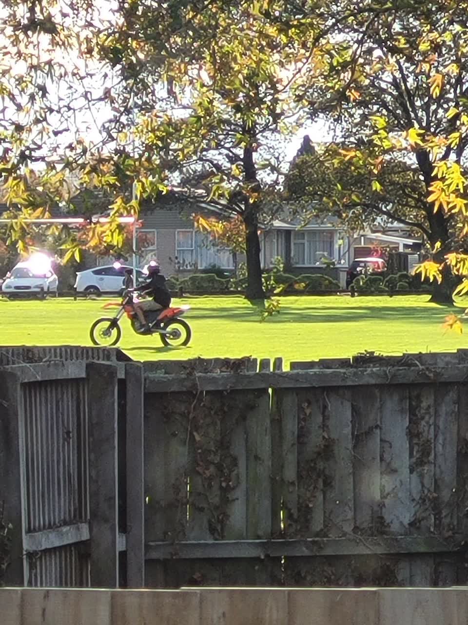 The photograph attached to this parks report