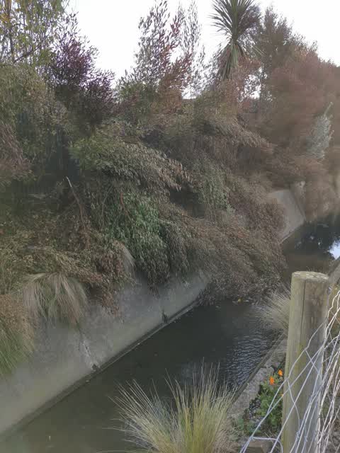 Wastewater/Stormwater — a report photo
