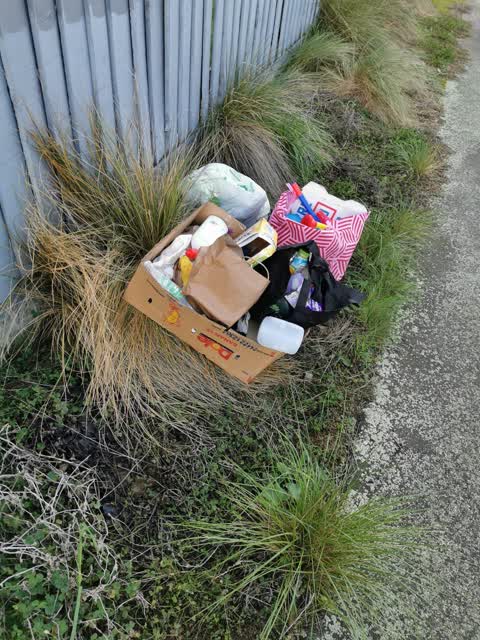 Rubbish/Recycling — a report photo