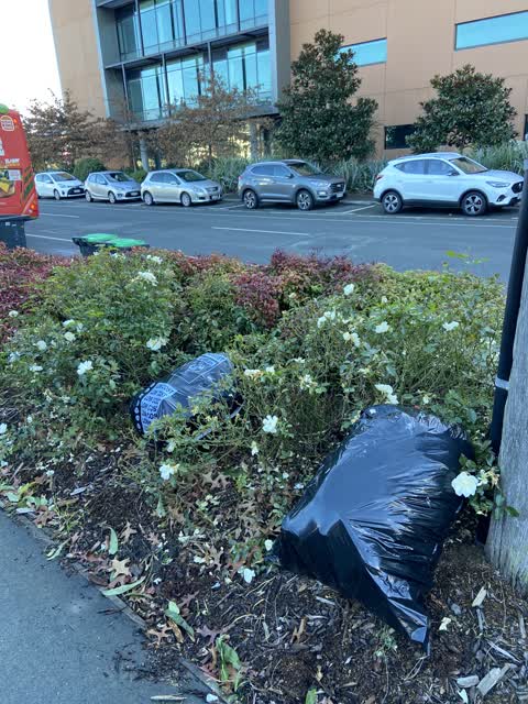 Rubbish/Recycling, a report photo